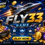 Fly33 Game