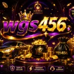 WGS456 Game